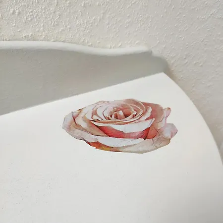 Mosel Boutique ゲストハウス 3*